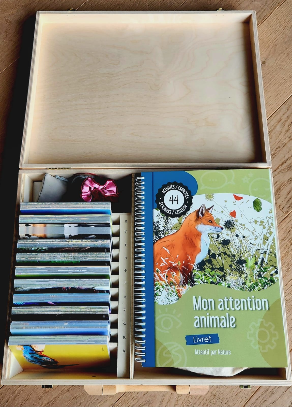 Intérieur de la mallette pédagogique